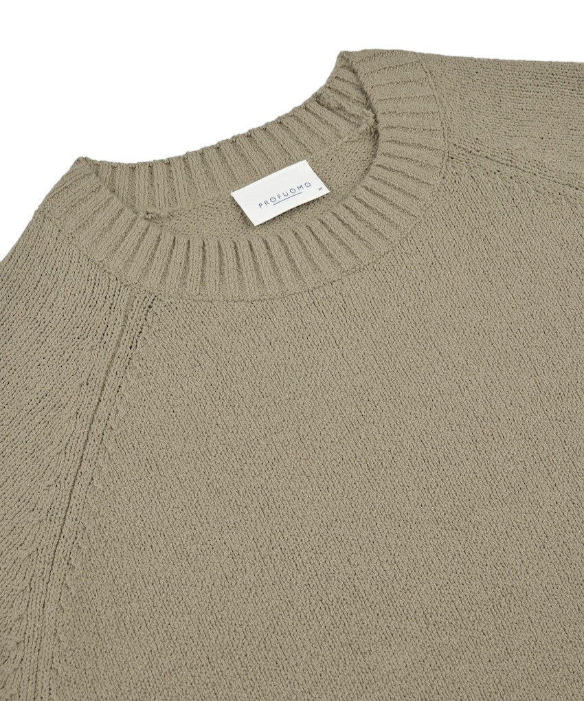 Profuomo pull trui ronde hals heren beige PPXJ10016A